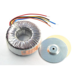 Transf.toroid.2x29V/100VA